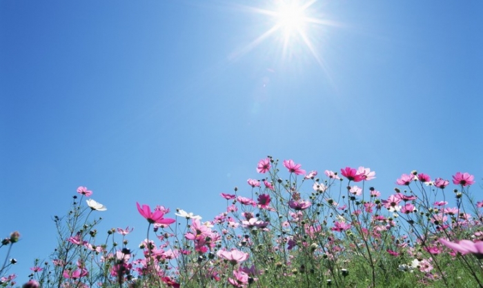 Погода продовжуватиме радувати закарпатців у найближчі дні