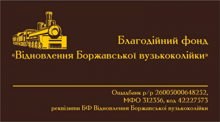 На Закарпатті для відновлення «Анці Кушницької» відкрили благодійний фонд