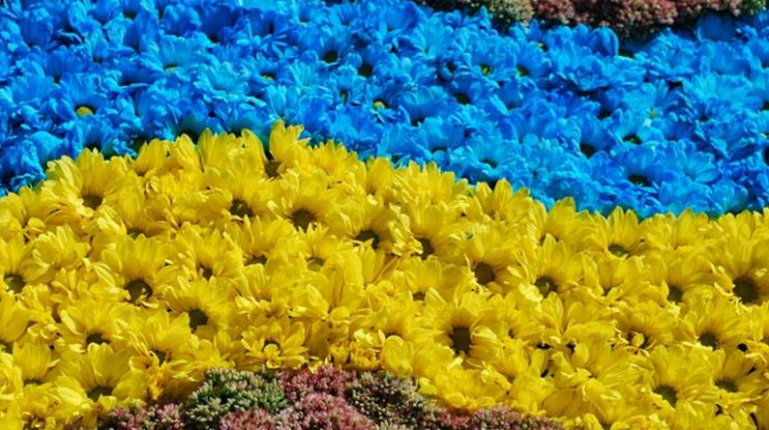 Богдан Андріїв привітав ужгородців з Днем Конституції України