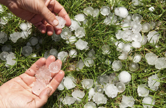 Негода на Закарпатті наробила чимало лиха 