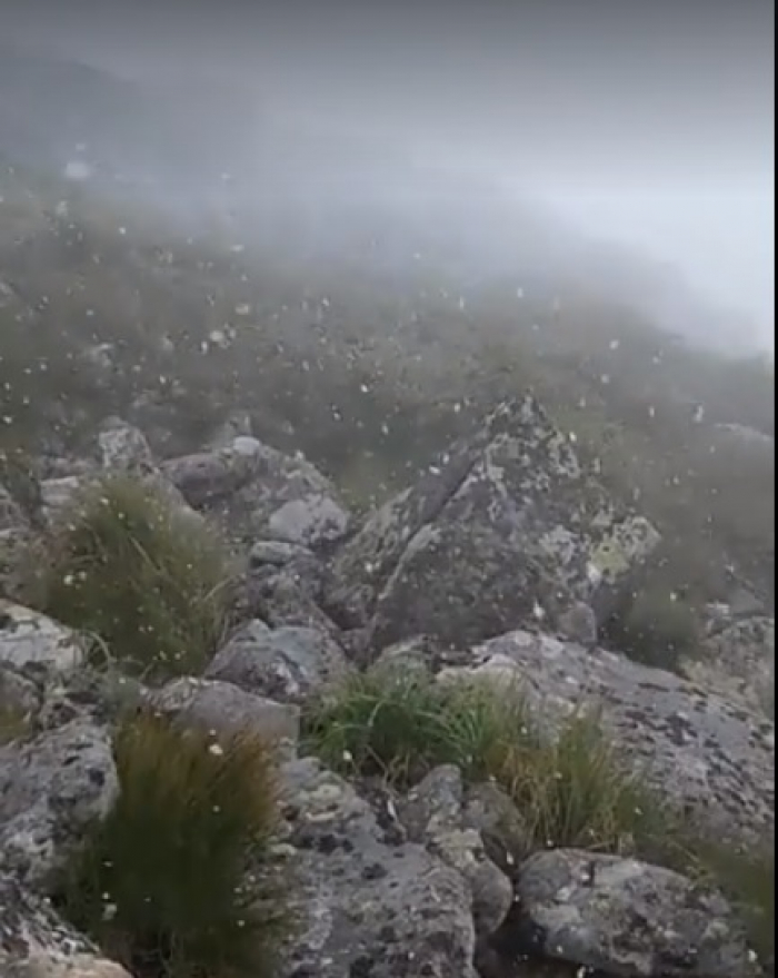 Середина літа на Закарпатті почалася зі ...снігу