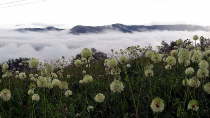 Які приємності готує погода Закарпаттю на завтра?