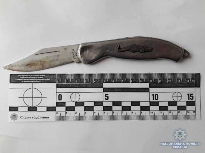 Закарпатець, захищаючи доньку, наніс удар ножем зятю