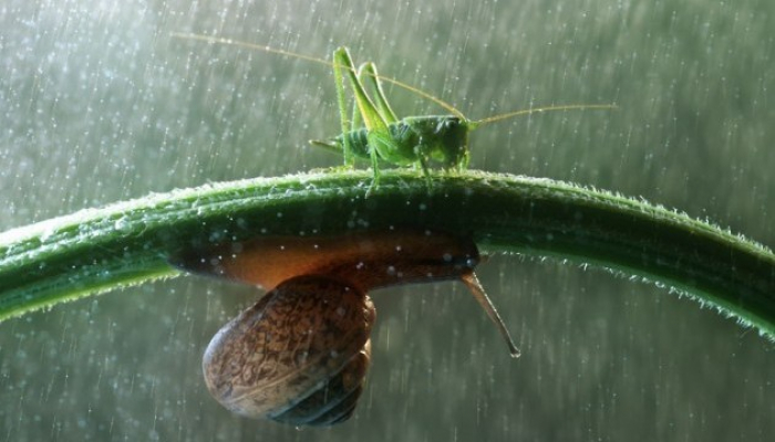 Ужгородцям у неділю варто прихопити з собою парасольки!