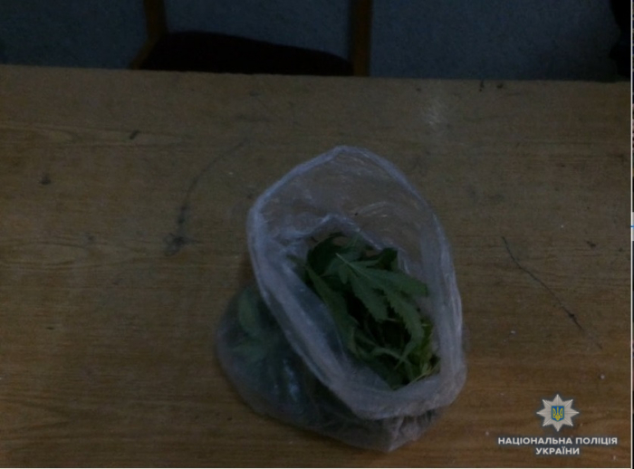 Закарпатець, який сидів вночі посеред автотраси, був під дією алкоголю та (?) наркотиків