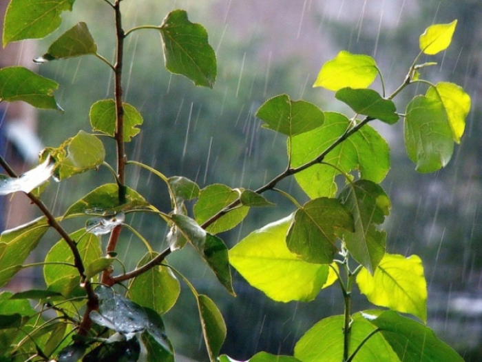 На Закарпатті у четвер буде хмарно, пройдуть невеликі дощі