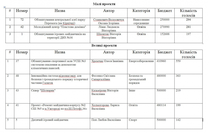 В Ужгороді експертна комісія прийняла рішення видалити з е-системи голоси, внесені за допомогою електронної адреси