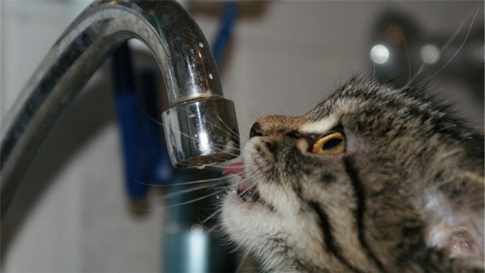 Закарпатський Севлюш сьогодні обезводнять, але лише на 4 години