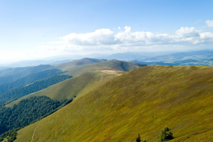 Хто прихватизував Боржавські полонини на Закарпатті