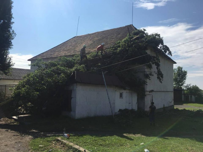Рятувальники ліквідовували наслідки падіння дерев у Іршавському районі