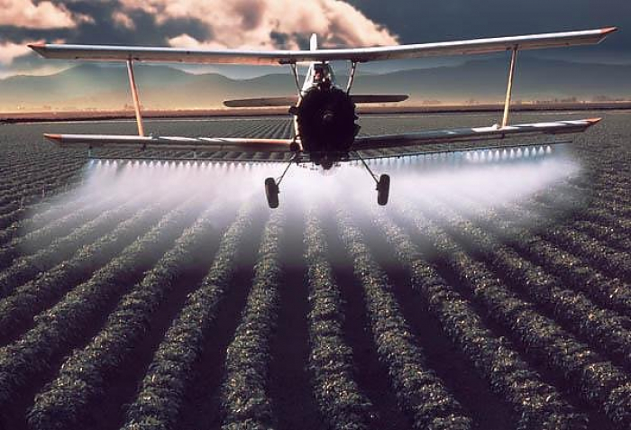 Ховайте бджіл і корів! Над Закарпаттям розпилять отрутохімікати