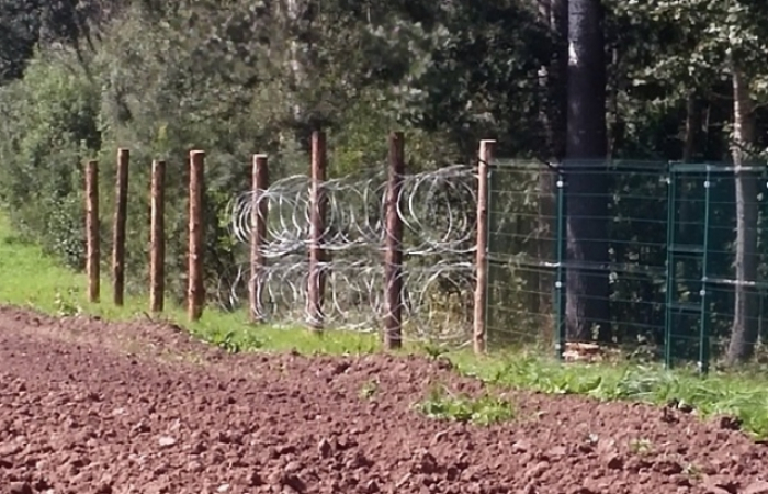 Турецький "дует" потрапив до Словаччини з території Закарпаття