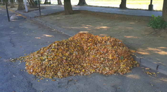 Чого очікувати закарпатцям від погоди восени?