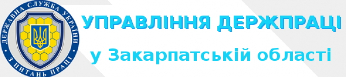 Закарпатський підприємець сплатить більше 20 мільйонів штрафу за використання незадекларованої праці