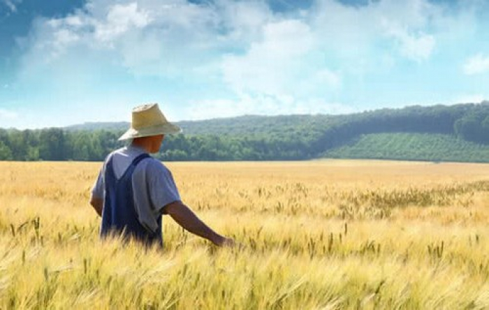 Землю закарпатців від рейдерів відтепер захищатиме Закон!