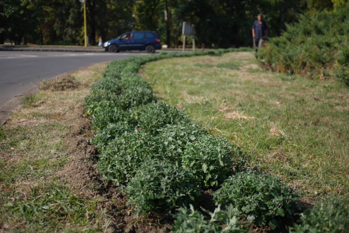 Чим та де сьогодні зайняті працівники комунальних служб Ужгорода