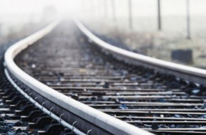 На Закарпатті можуть закрити для вантажних операцій десять залізничних станцій. Москаль проти