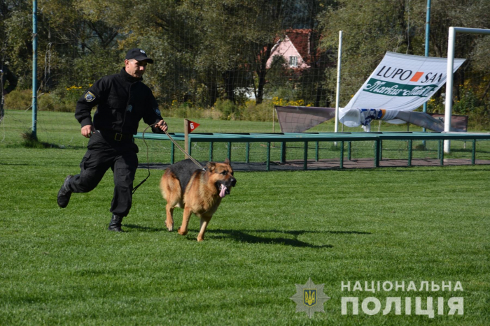 Кінологи, зголосіться! Поліція Закарпаття запрошує на роботу