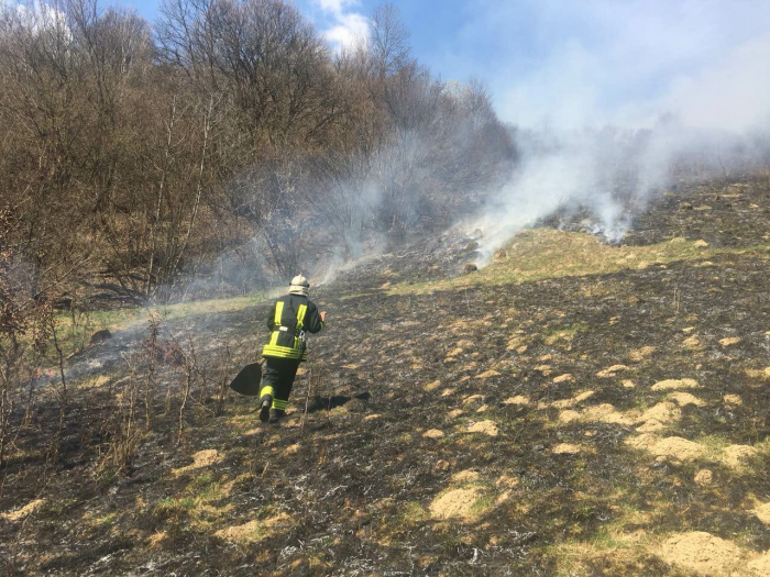 У Мукачеві пожежу на горі Ловачка ліквідовують вогнеборці