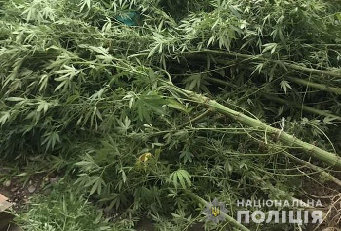 Наркотики та набої знайшла поліція у 50-річного мешканця Іршавщини