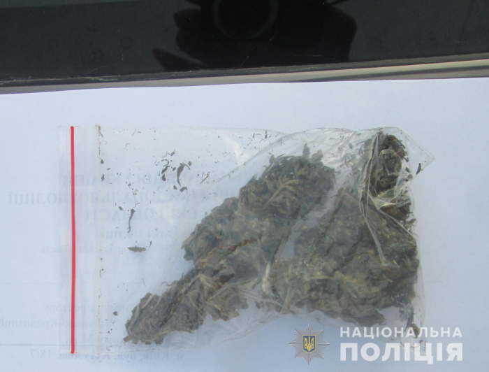 Згорток з марихуаною знайшли правоохоронці в іномарці закарпатця 