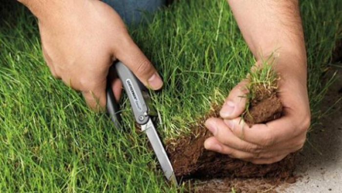 На Закарпатті відбудеться суд над аферисткою з Держгеокадастру