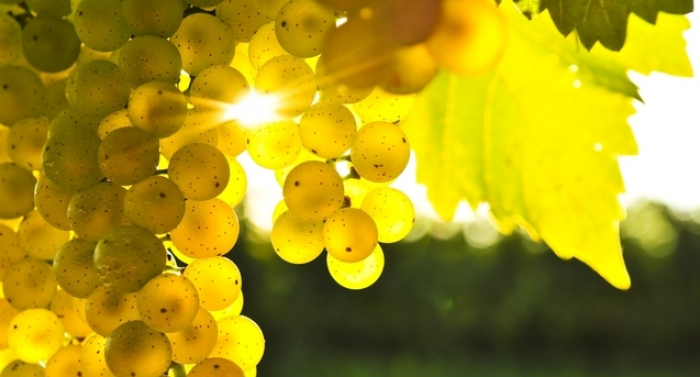 Погода у середу на Закарпатті, обіцяють синоптики, буде сухою