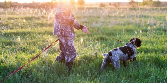 "Тріо" учасників "тихого полювання" виявилося чомусь озброєним!