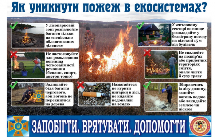 Тривога! У лісах Закарпаття оголошено найвищий 5-й клас пожежної небезпеки