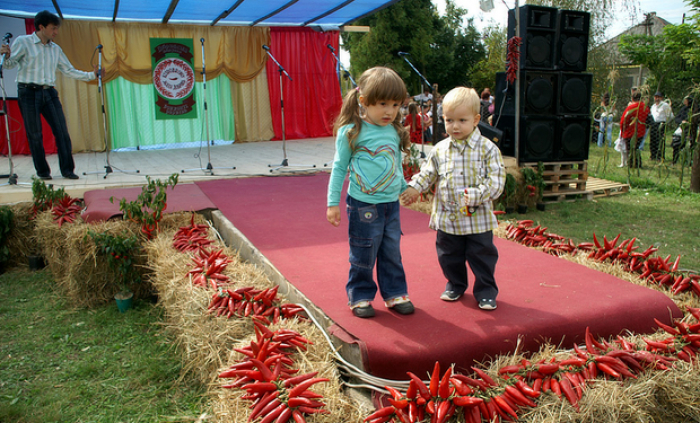 Що цікавого й незвичайного очікує жителів Ужгорода в суботу та в неділю?