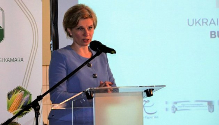 Український посол у Будапешті проти закарпатських фейків!