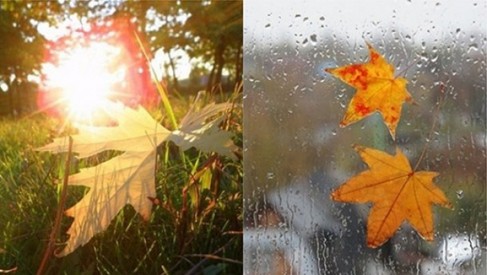 У суботу синоптики обіцяють закарпатцям невеликий дощик, а в неділю буде сухо!