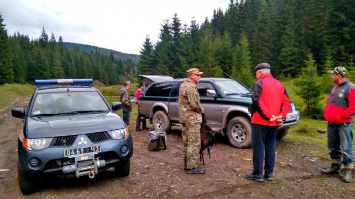 Четверо мисливців на грибочки з Хустщини заблукали у горах Міжгірщини