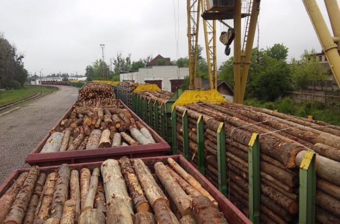 Москаль заборонив закарпатським держлісгоспам продавати дрова за кордон
