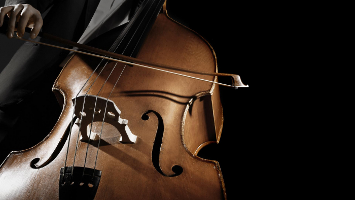 Ужгородська галерея "Ілько" запрошує на вечір камерної музики