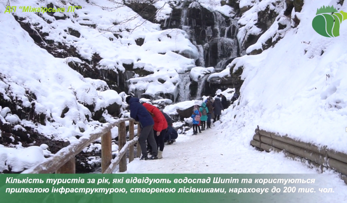 Туристична родзинка Закарпаття водоспад "Шипіт": за рік тут буває до 200 тисячі осіб. Що особливого?