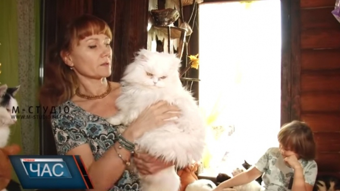 Було 15 – стало більше сотні: в туристичному закладі на Міжігрщини в мирі та злагоді живуть коти та кішки