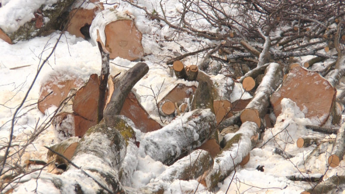 На Виноградівщині значно зріс попит на тверде паливо. Названо причини (ВІДЕО)