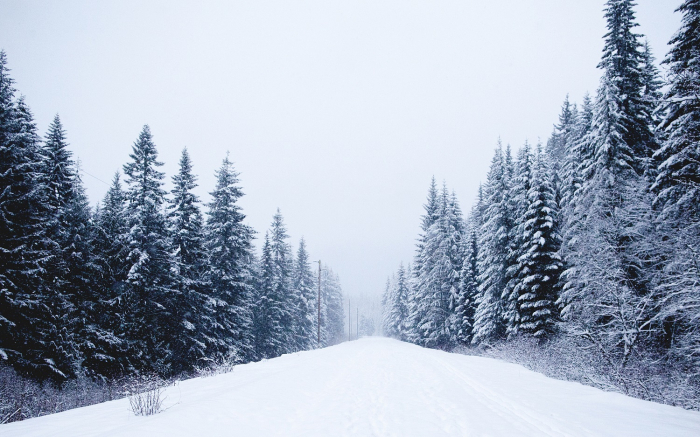 Закарпатці, увага: штормове попередження