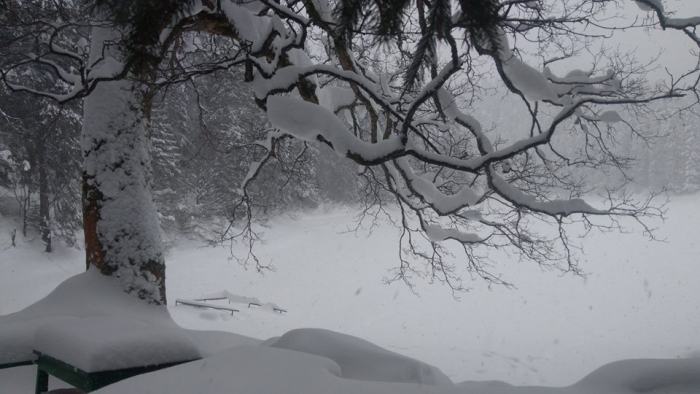 У мережі опублікували фото білосніжного Синевира 