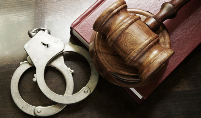 Скільки злочинних угруповань було викрито в Закарпатті минулоріч?