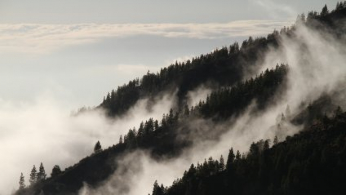 Чи потішить закарпатців погода наприкінці тижня?