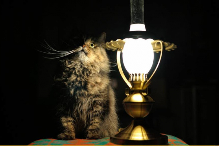 Планові відключення: де в Ужгороді цього тижня не буде світла