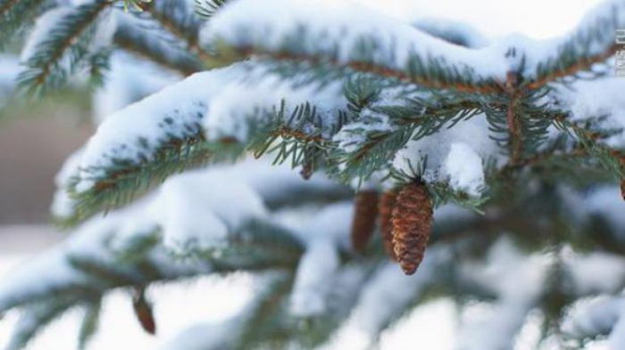 Чи буде завтра тепло? Прогноз погоди в Закарпатті на середу