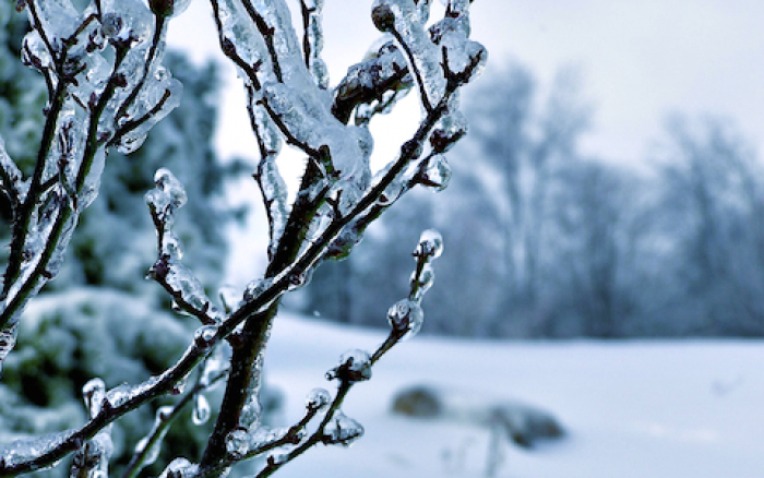 Яка погода буде в Закарпатті напередодні вихідних?