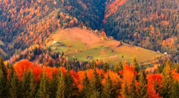 На Закарпатті - черговий температурний рекорд