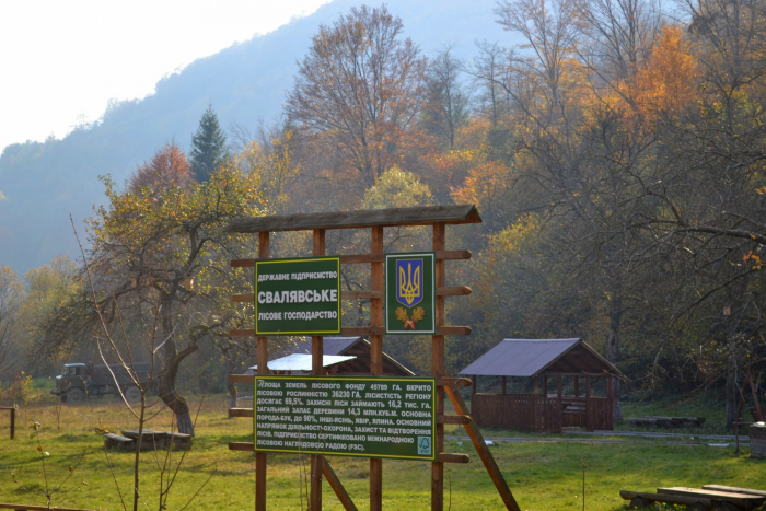 Завдяки рекреаційним зонам від лісівників, насолодитися осінню на Закарпатті можуть і мандрівники (ФОТО)