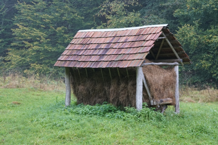 Закарпатські лісівники запасають корми для лісових мешканців (ФОТО, ВІДЕО)