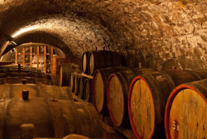 Середнянські підвали під Ужгородом – найдавніші та найбільші винні погреби в Європі