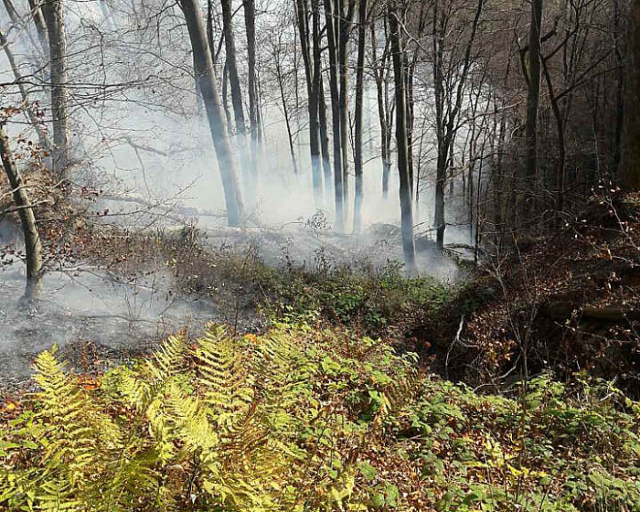 Попередження не допомагають: закарпатці продовжують спалювати сухостій і траву